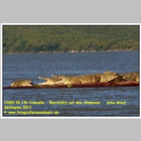 19083 05 196 Krokodile - Bootsfahrt auf dem Chamosee -  Arba Minch - Aethiopien 2012.JPG